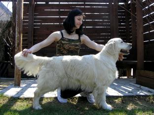 soso et roky